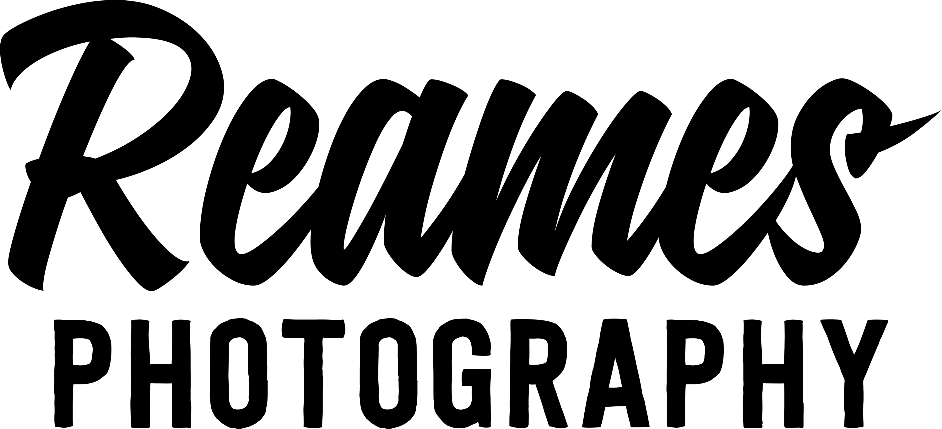 Reames Photography Logo - Pigeon Detectives (3000x1367), Png Download