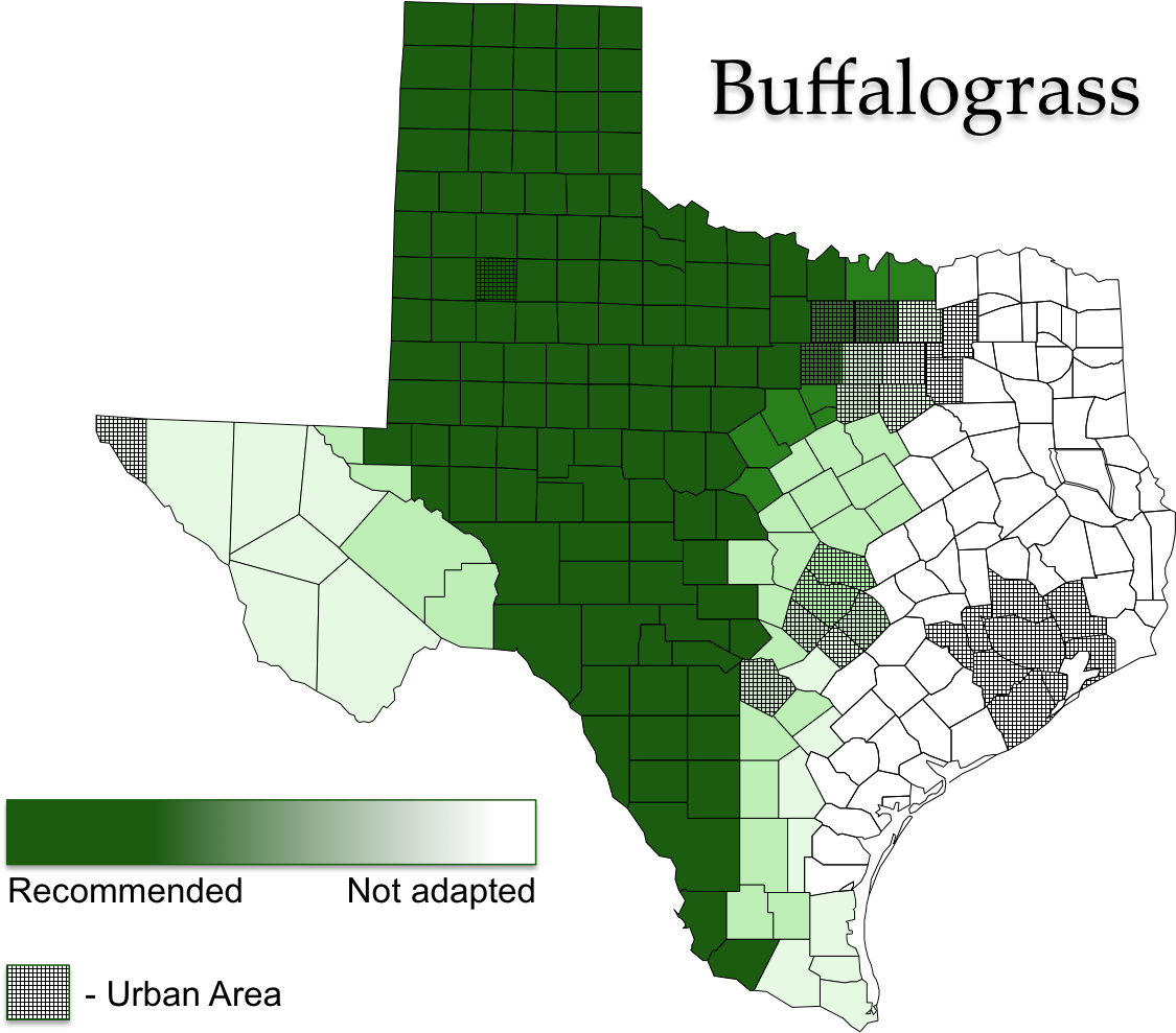 Buffalograss Map - Nursing Student Quotes (1137x992), Png Download