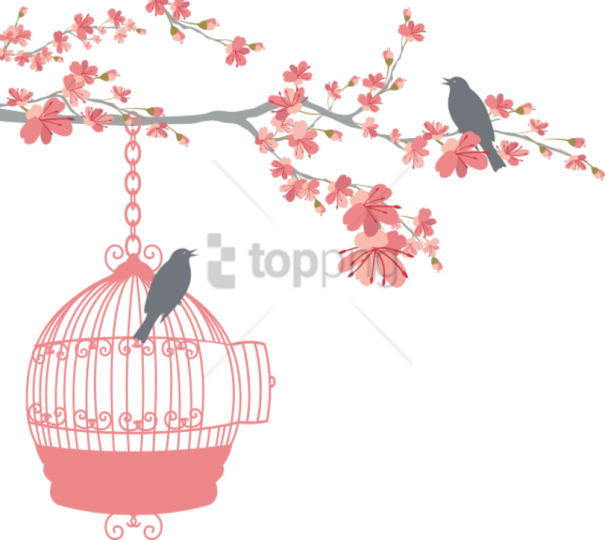 Free Png Download Wedding Bird Cage Png Images Background - Bird Cage Wedding Clipart (850x759), Png Download
