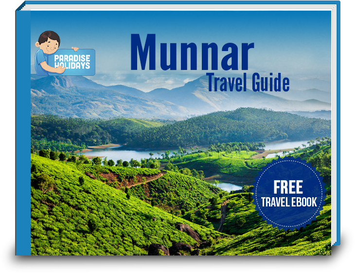 Download Your Free Munnar Travel Guide - Muthirappuzhayar River (900x700), Png Download