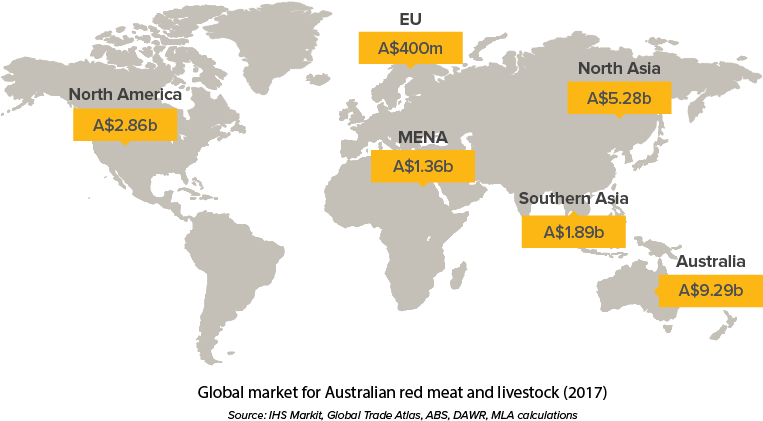 Growing Demand For Red Meat In Over 100 Global Markets - Map Of The World Without Countries (789x447), Png Download