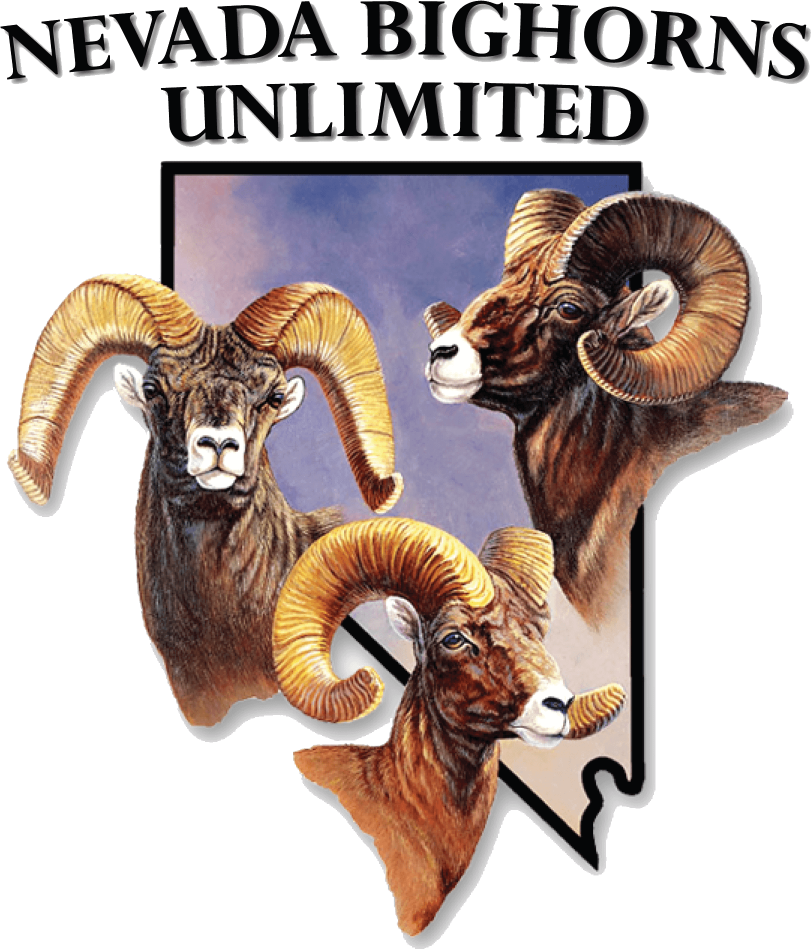 About The Initiative - Nevada Bighorns Unlimited (2880x2160), Png Download