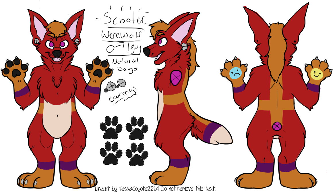 Vegi Tables Yes @home - Fursona Ref Sheet Wolf (1167x687), Png Download