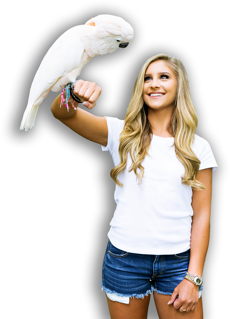 Follow The Rainbow To Parrot Mountain 2019 Opening - Girl (789x1063), Png Download