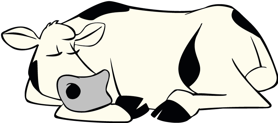 Sleeping Cow Png (900x399), Png Download