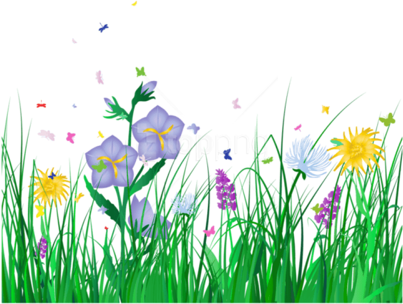 Free Png Download Transparent Grass And Flowers Png - Flowers Clipart No Background (850x656), Png Download