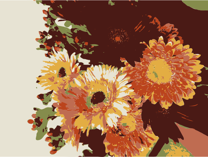 Medium Image - Sunflower (800x602), Png Download