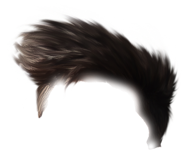 Cb Hair Png Hd Photo 1419 Addpng Backgrounds - Tail (824x666), Png Download