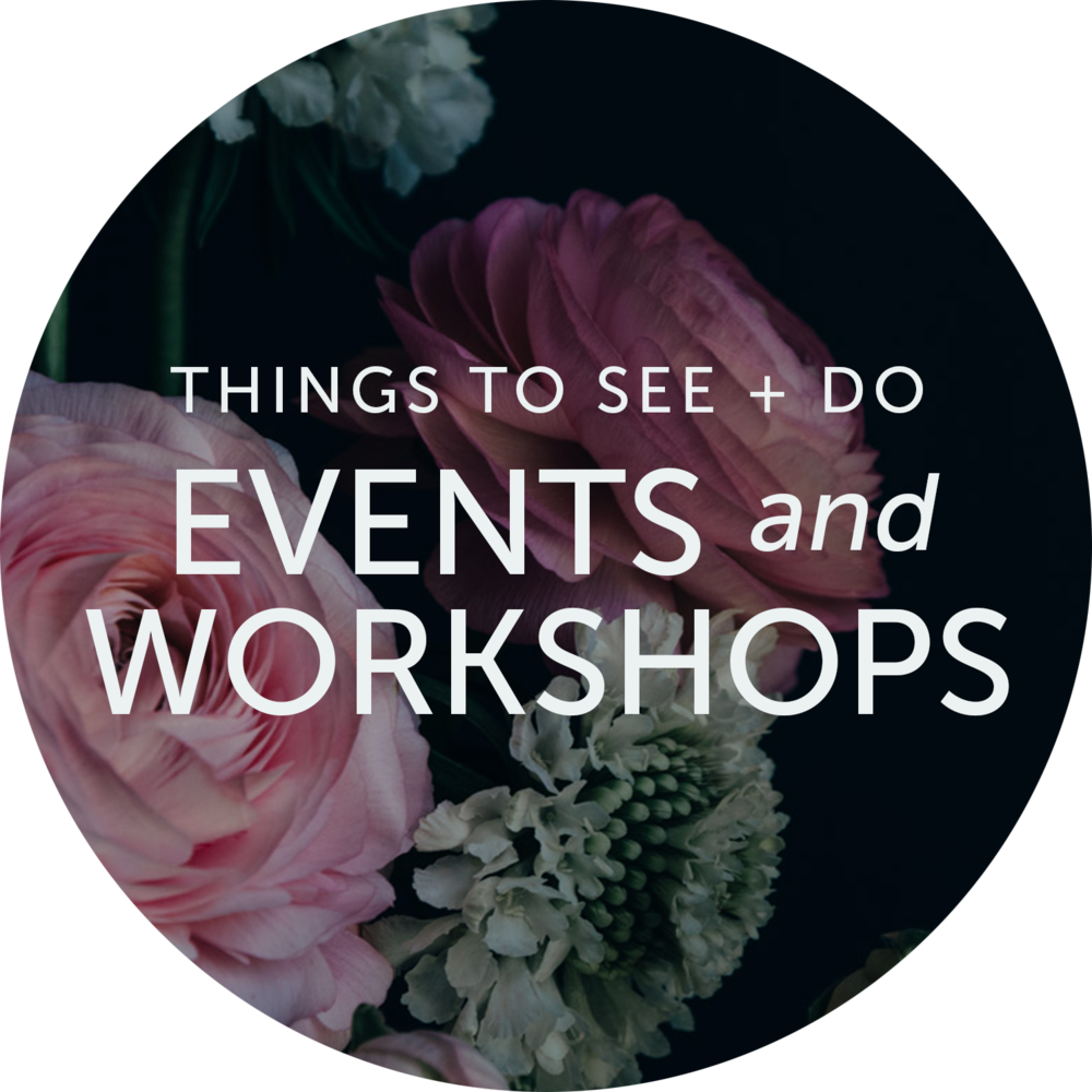 Events And Workshops - Garden Roses (1000x1000), Png Download