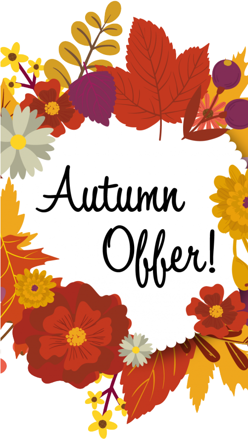 Autumn Offer Sticker - Tween Brands (500x1000), Png Download