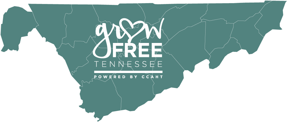 Slavery In Tennessee (1003x612), Png Download