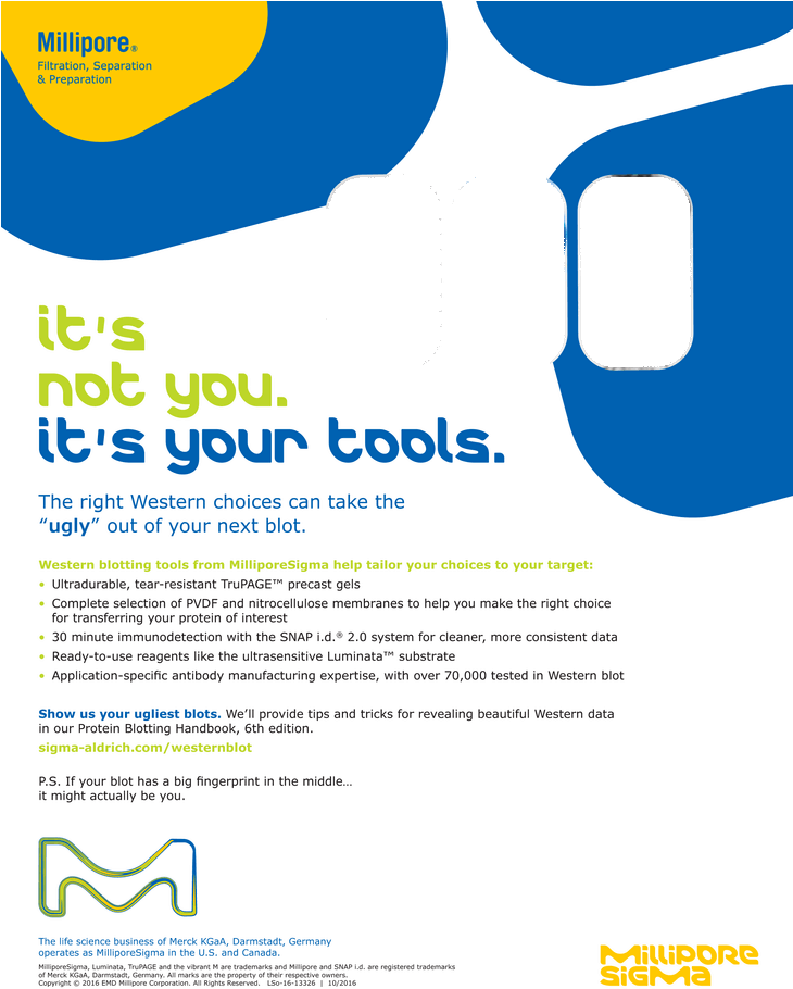 Back Issues - Millipore Sigma (729x929), Png Download