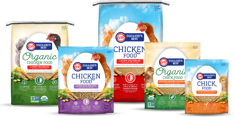 Healthier Hens - 2018 New Food Launches (800x398), Png Download
