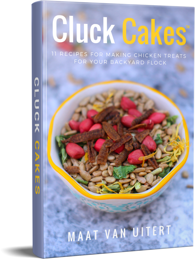 This Article Is Inspired By My New Book, Cluck Cakes, - Chicken (1024x1024), Png Download