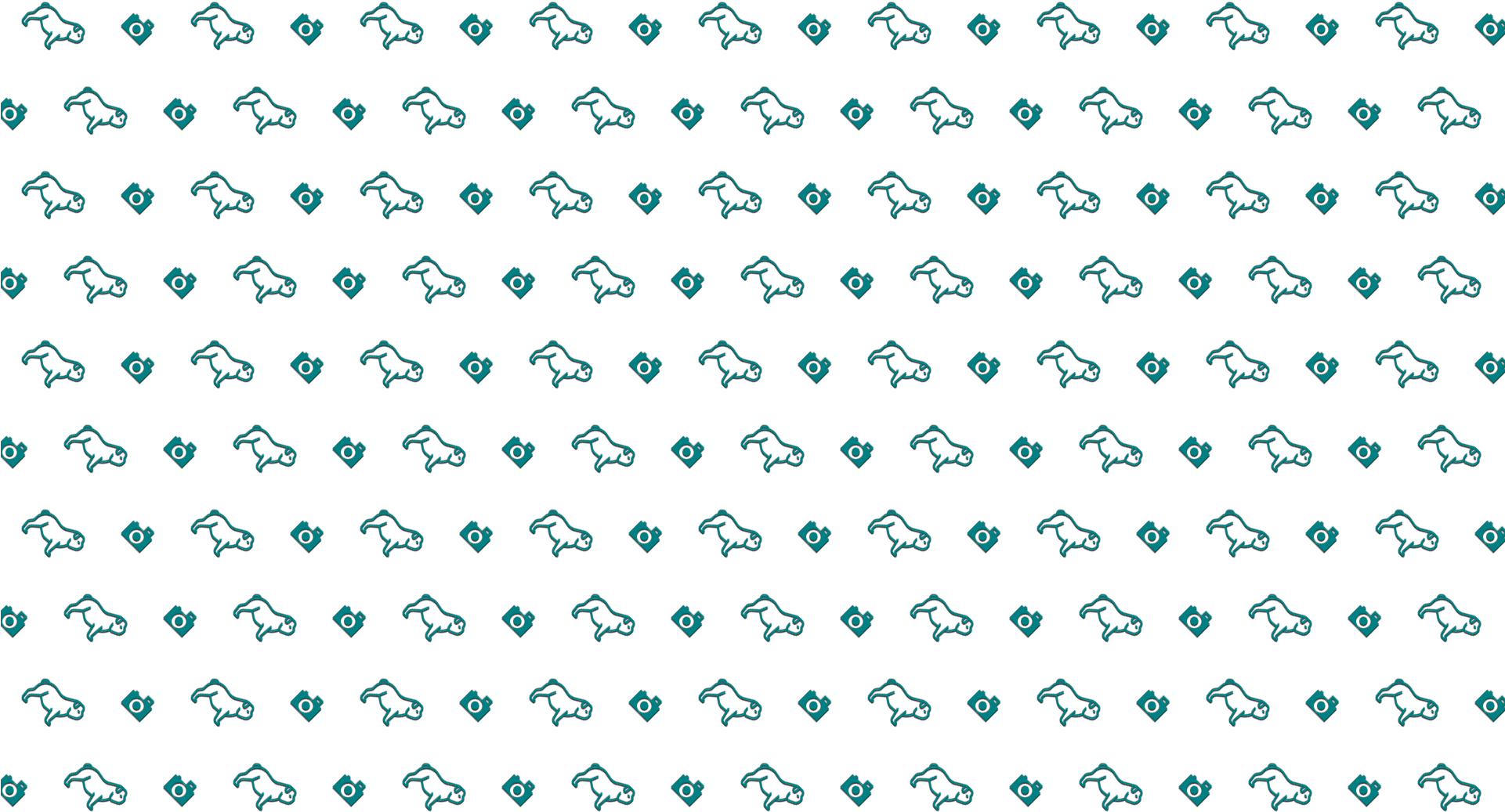 Blue, Green, Text, Aqua, Font, (1920x1080), Png Download