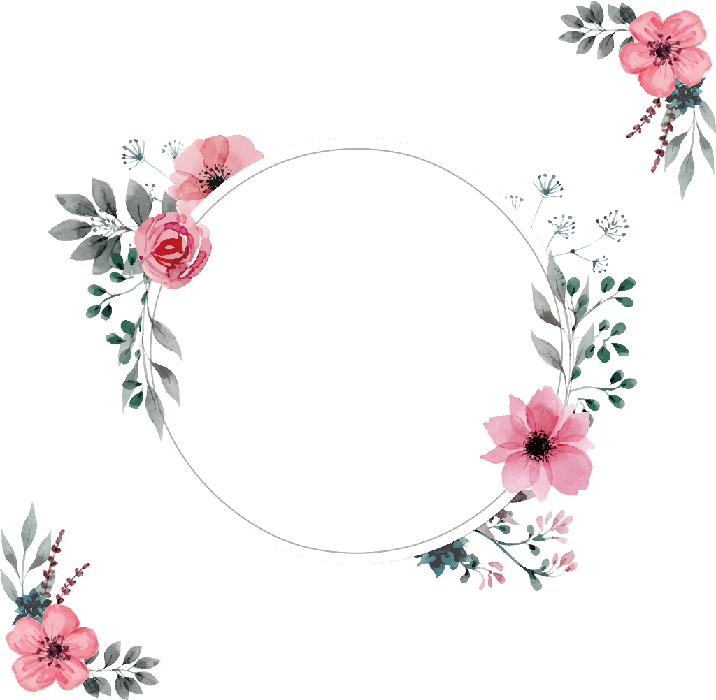 #ftestickers #frame #borders #collage #flowers #pink - Rose (1024x1002), Png Download