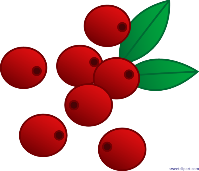 700 X 602 2 - Red Berries Clip Art (700x602), Png Download