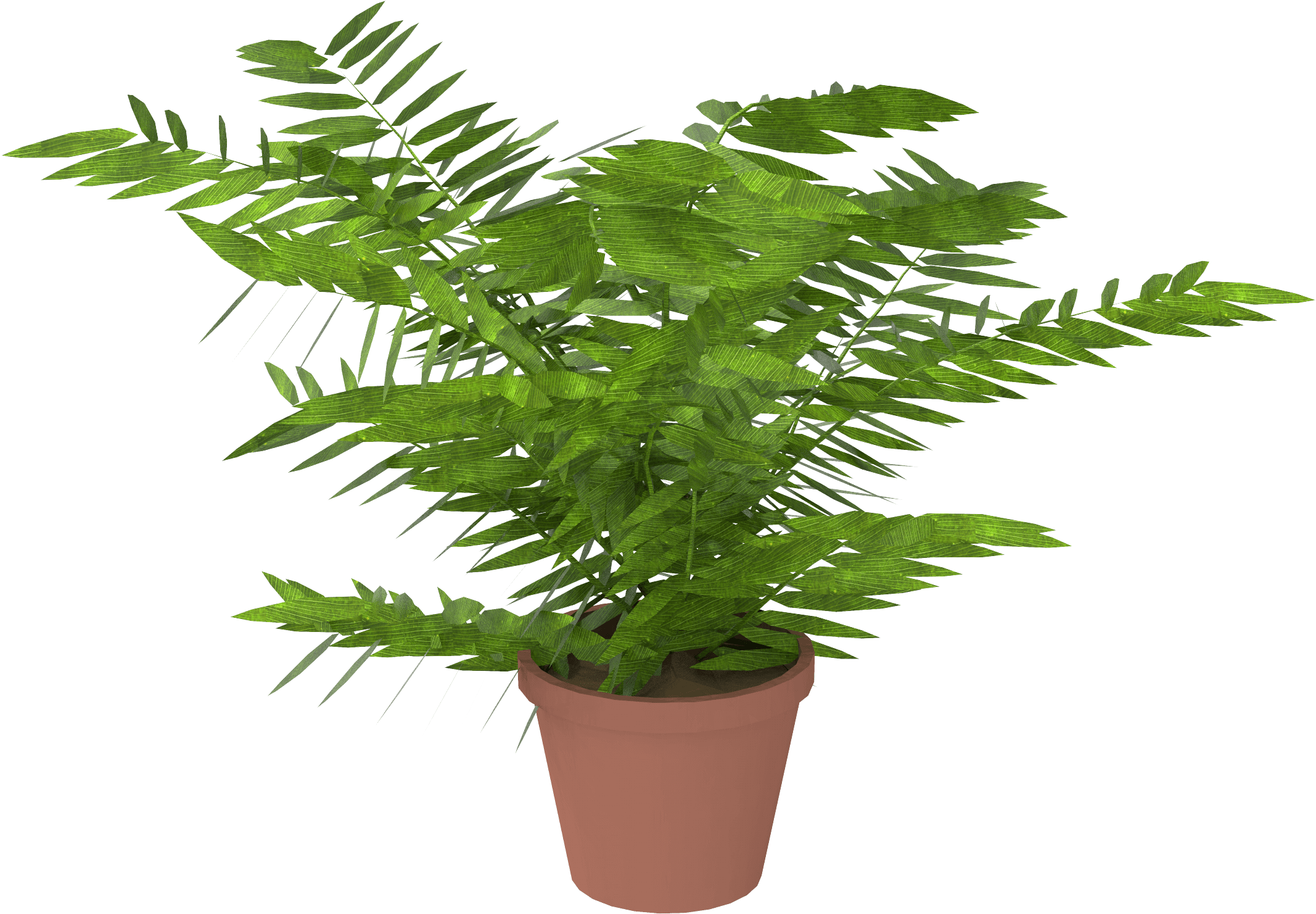 3 000027 P01 - Fatsia Japonica Pot 17 (2560x2257), Png Download