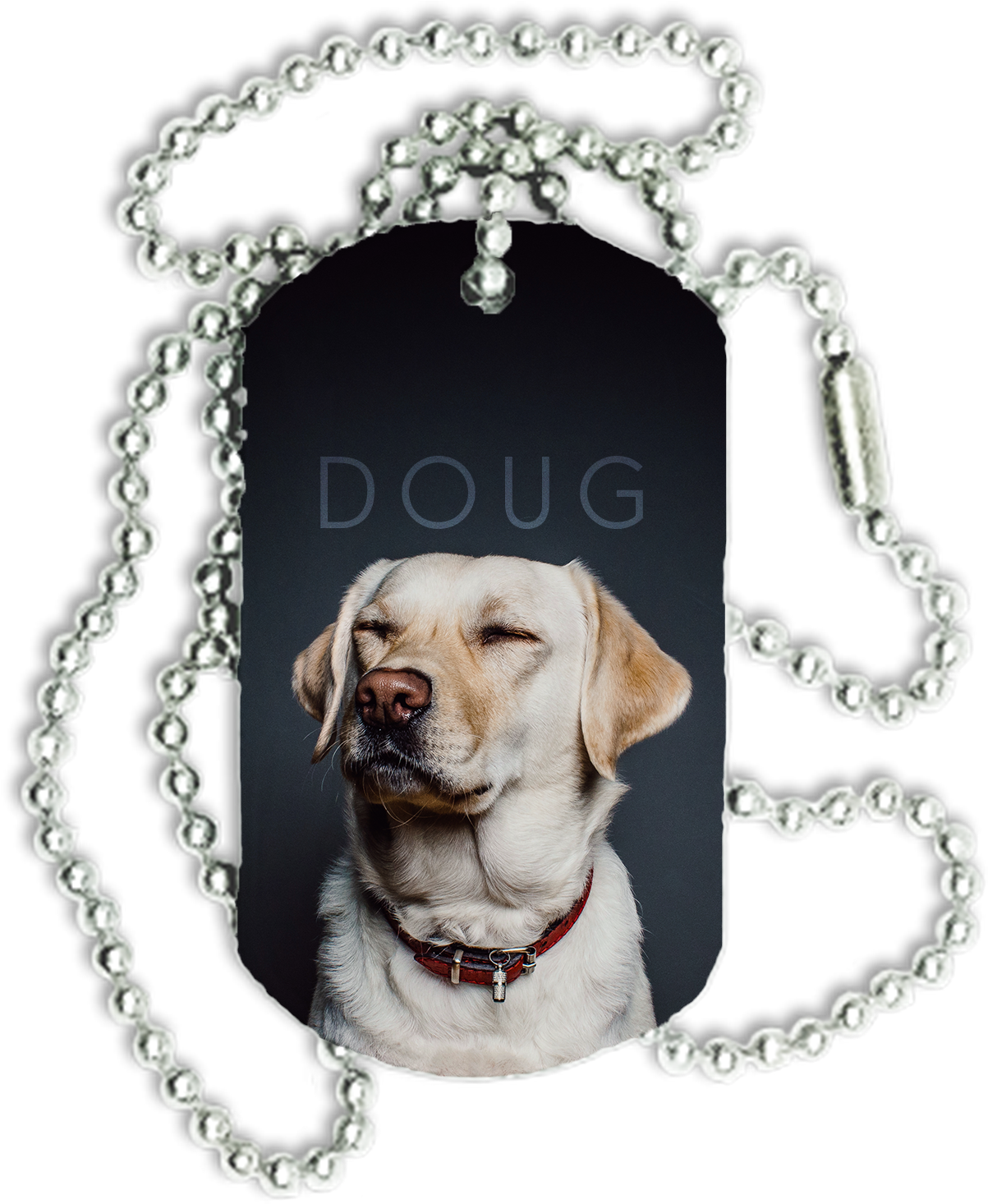 S259330316920728094 P23 I3 W1586 - Quotes For People Who Hate Dogs (1586x1568), Png Download
