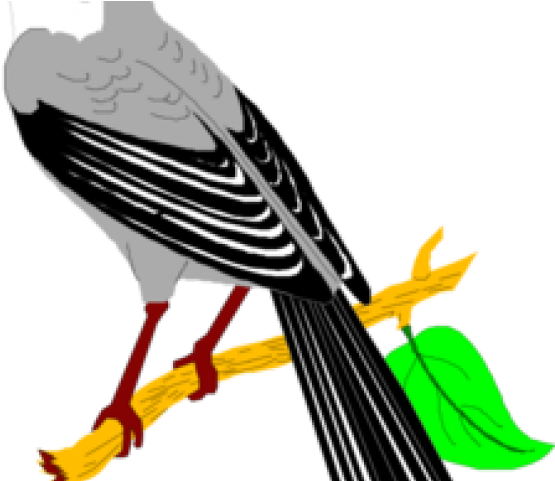 Mockingbird Clipart - Mocking Birds Clip Art (640x480), Png Download