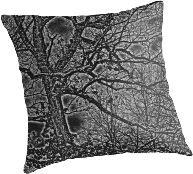 Black White And Gray Bare Tree And Branches Nature - Cushion (875x875), Png Download