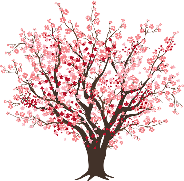 The Late Fort Worth Businessman Charles Tandy Sprouts - Cherry Blossom Tree Clip Art (599x590), Png Download