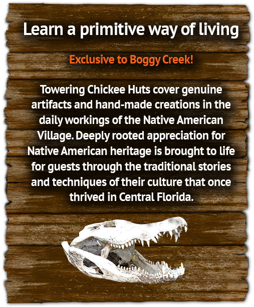 Native American Real Indians In Orlando Florida - American Ballet Theatre (640x617), Png Download