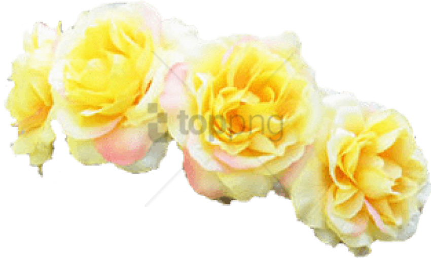 Free Png Tumblr Transparent Flower Crown Png Image Aesthetic