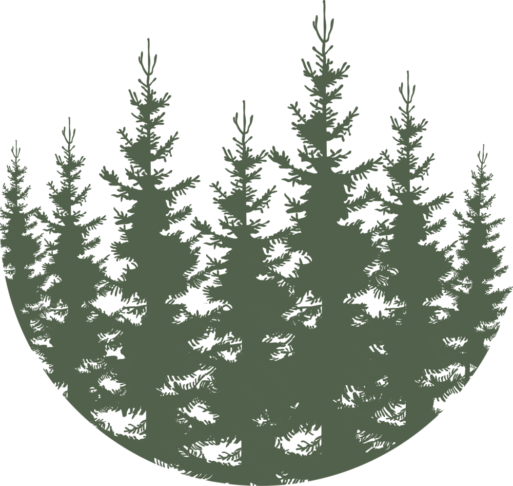 Forest - Green - Christmas Tree (1000x946), Png Download