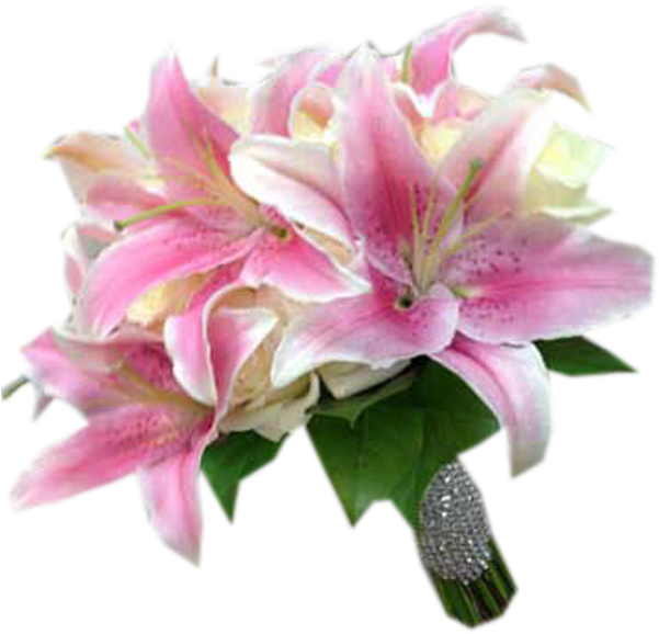 Lily/rose Clutch - Stargazer Lily (600x600), Png Download