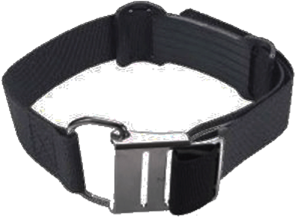 Hog Tank Strap With Stainless Cam Buckle - Strap (1000x1000), Png Download