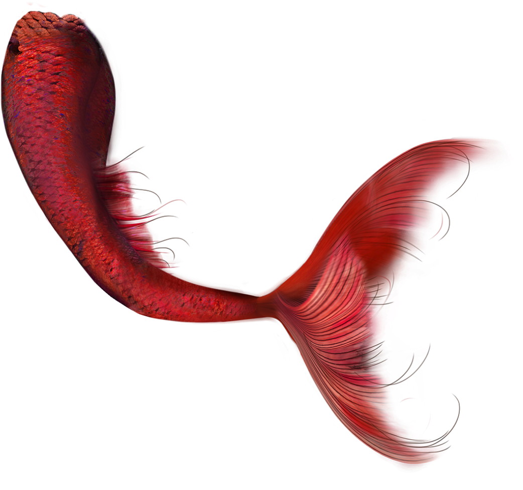 Marmand/fish Hd Clip Art - Red Mermaid Tail Png (1042x976), Png Download