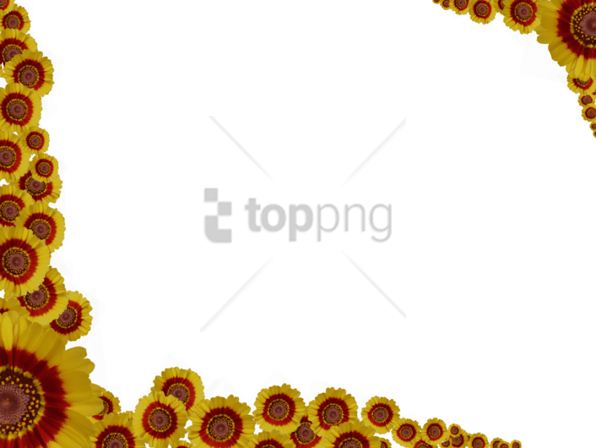 Free Png Download Colorful Floral Corner Borders Png - Flower Borders For Powerpoint (850x638), Png Download