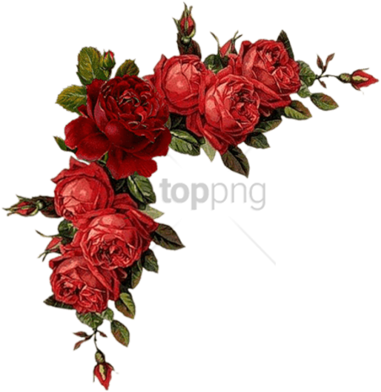 Free Png Colorful Floral Corner Borders Png Png Image - Red Flower Vintage Png (850x813), Png Download