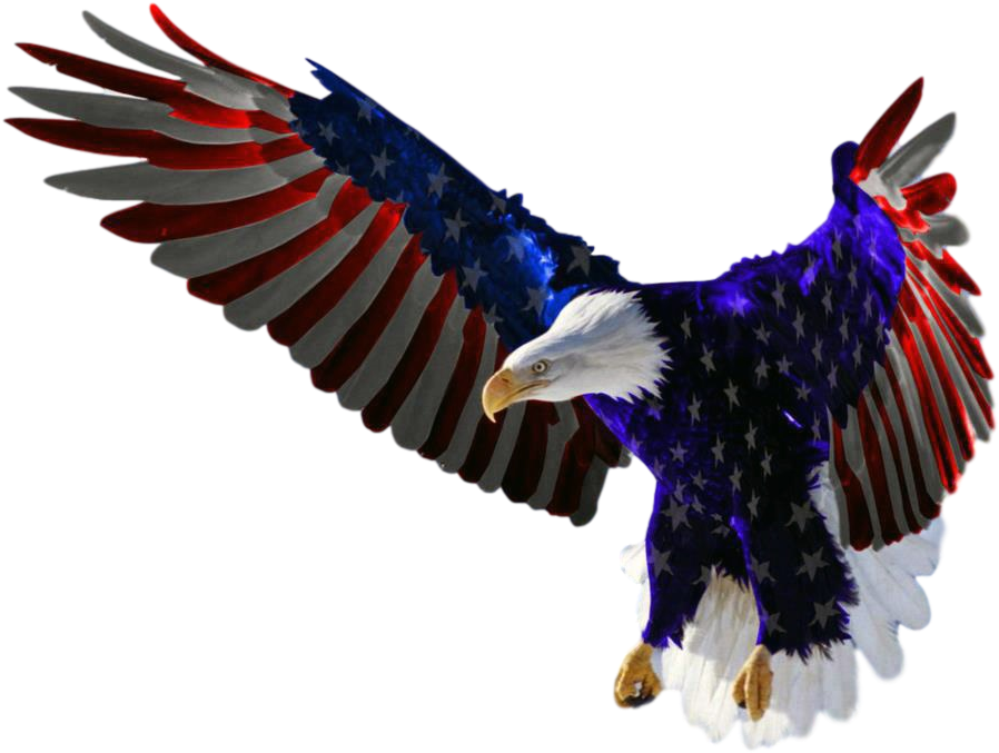 Features American Flag Eagle Clipped Rev - Majestic American Bald Eagle (960x720), Png Download