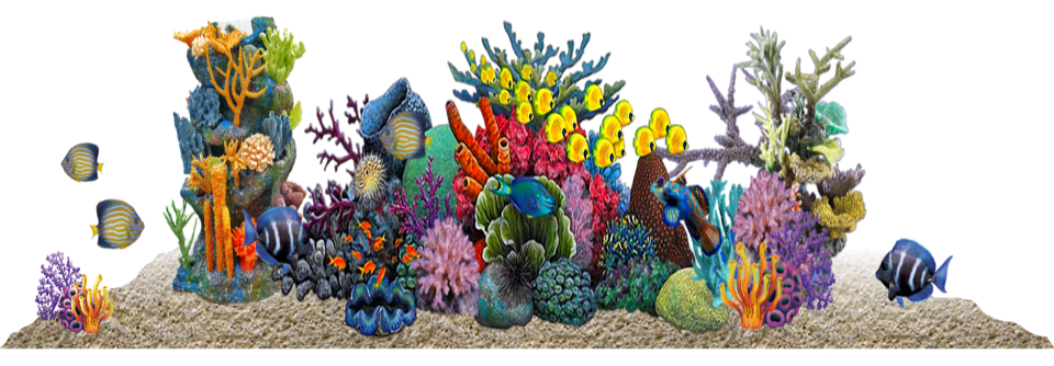 Home - Stickers Aquarium (960x334), Png Download