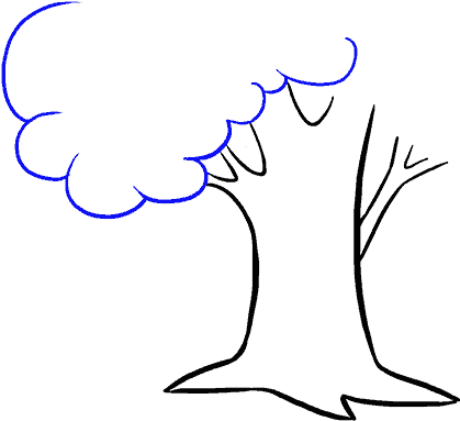 How To Draw Cartoon Tree - Tree Cartoon Black And White Png (678x600), Png Download