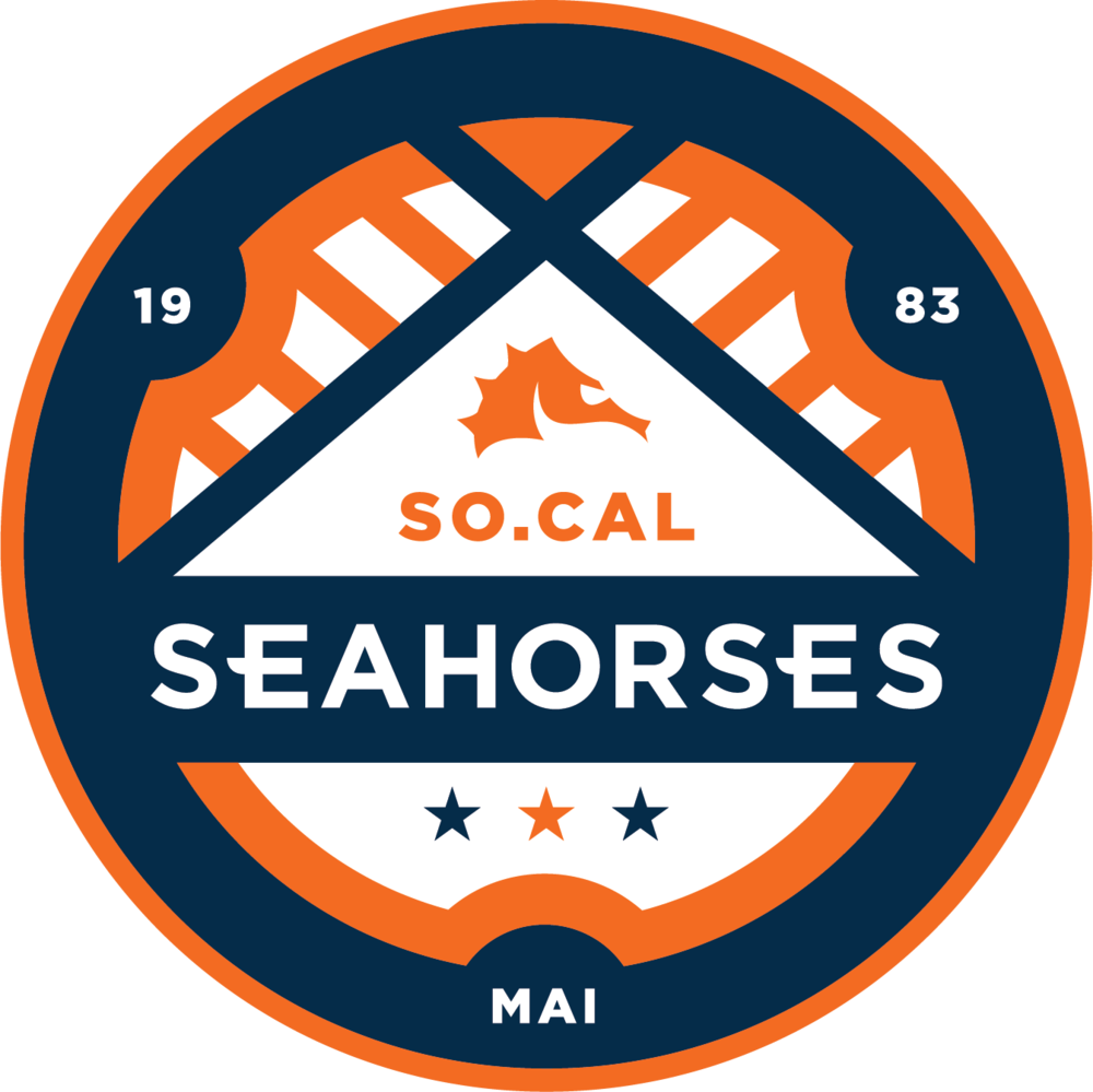 Fnl Socal Seahorses Cmyk Color - Charlotte Eagles (1000x999), Png Download