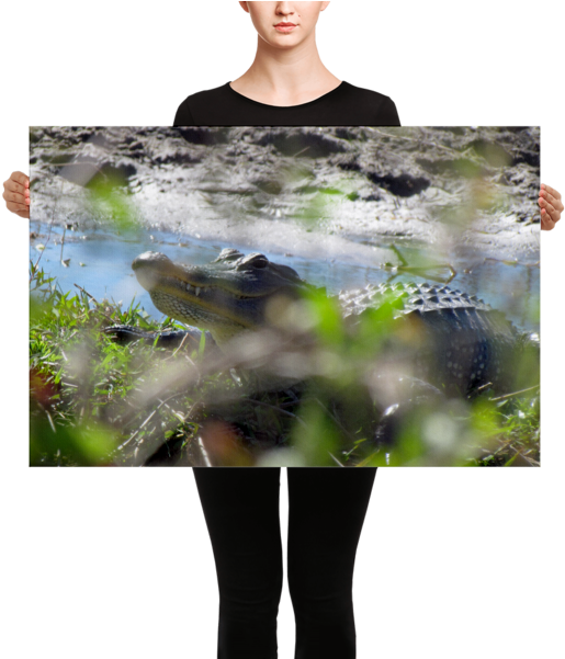 Canvas Print (600x600), Png Download