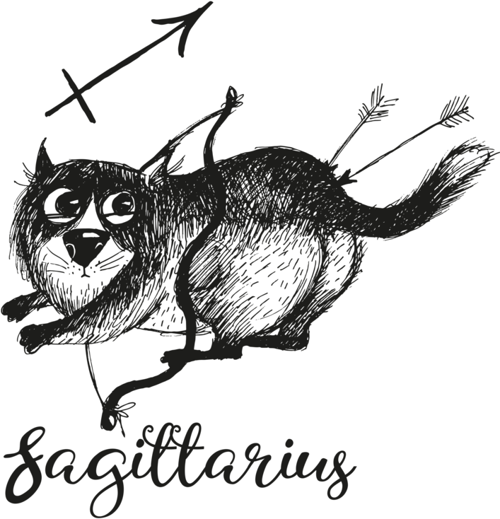 Simply Sagittarius Men's Printed T Shirt - Mug (735x1040), Png Download
