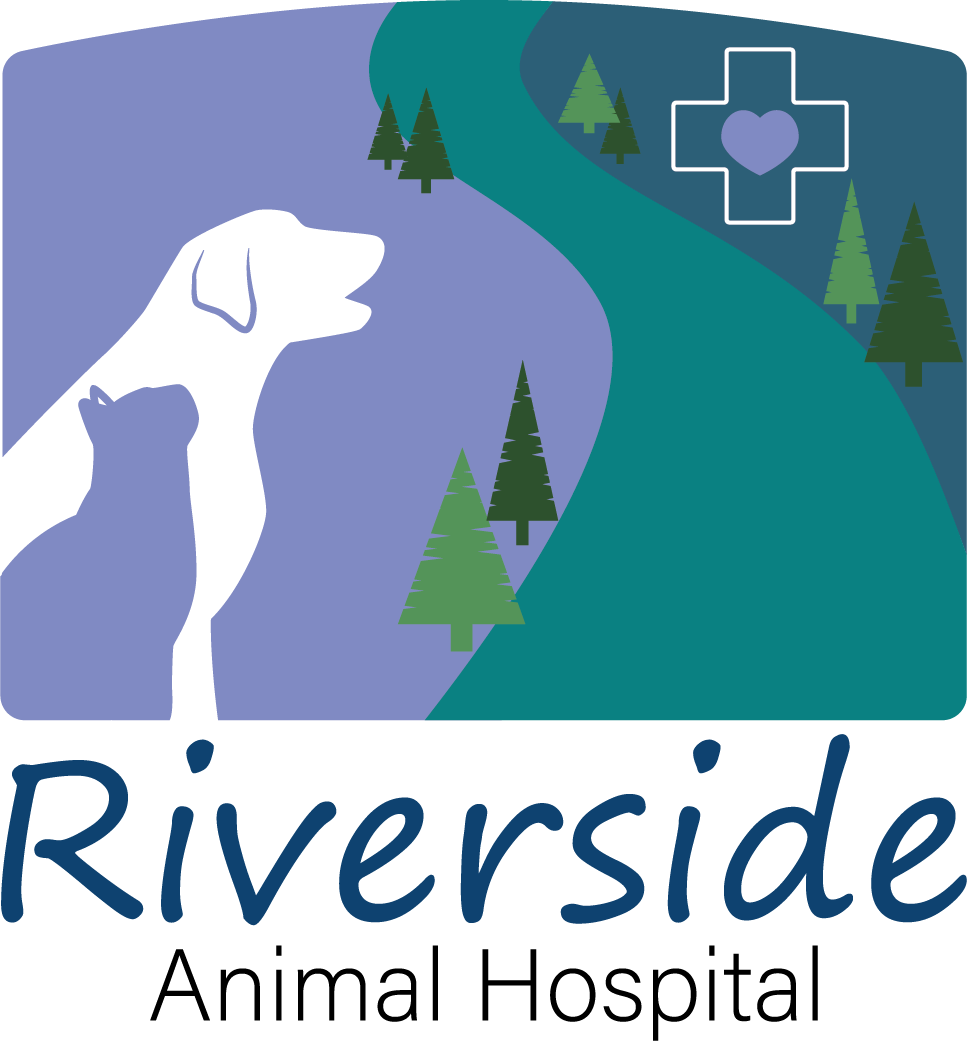 Riverside Animal Hospital Veterinarian In Kelso Png - Hunting Dog (967x1041), Png Download
