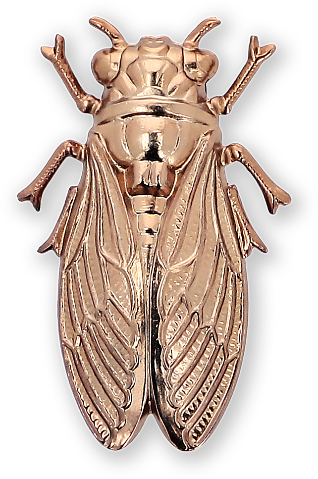 Cicada Gold-plated Brooch Ss19 Collection, Pal Zileri - Cicada (960x1440), Png Download