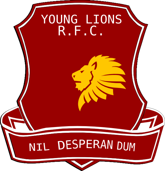 Small - Quidditch Sign Up (576x595), Png Download