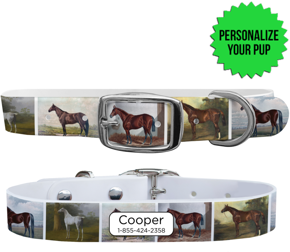 Belt (1024x1024), Png Download