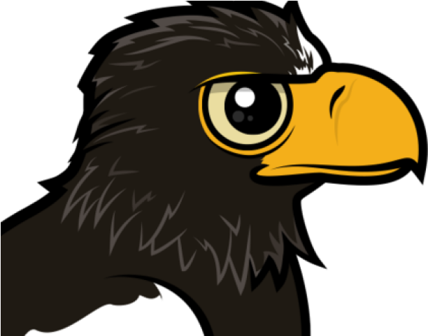 Stellers Sea Eagle Clipart Png - Steller's Sea Eagle (640x480), Png Download