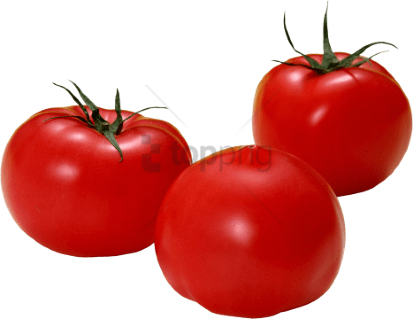Free Png Download Tomato Png Images Background Png - Tomat Png (850x656), Png Download