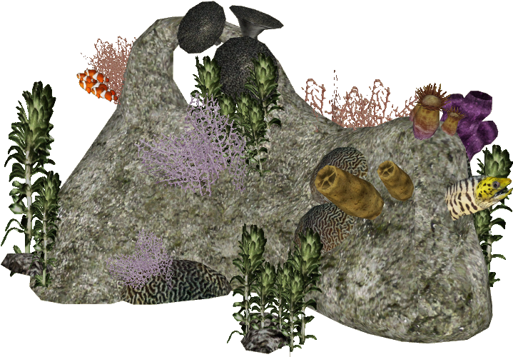 Animatedreef1 Zerosvalmont - Gentoo Penguin (718x718), Png Download