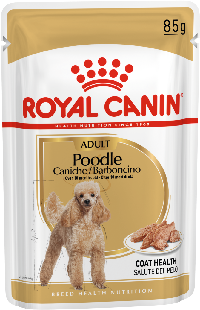 Royal Canin Kitten Jelly (933x1320), Png Download