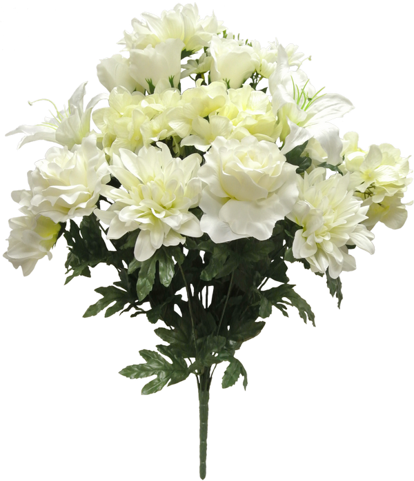 58224-cr - Rosa Rugosa (600x698), Png Download