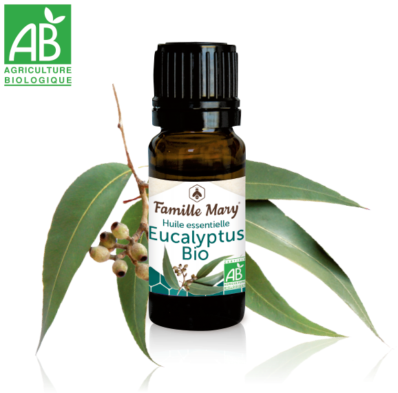 Huile Essentielle Eucalyptus Bio - Essential Oil (700x700), Png Download